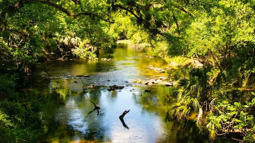 22 mars : Journée Mondiale de l’Eau 💧